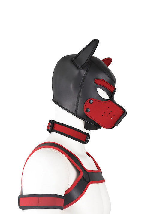 Puppy Play - Fetish - Sex Toys For Gay Men Kinks Whitesockshop White Sock Puppy Play - Fetish - Sex Toys For Gay Men Kinks Whitesockshop White Sock