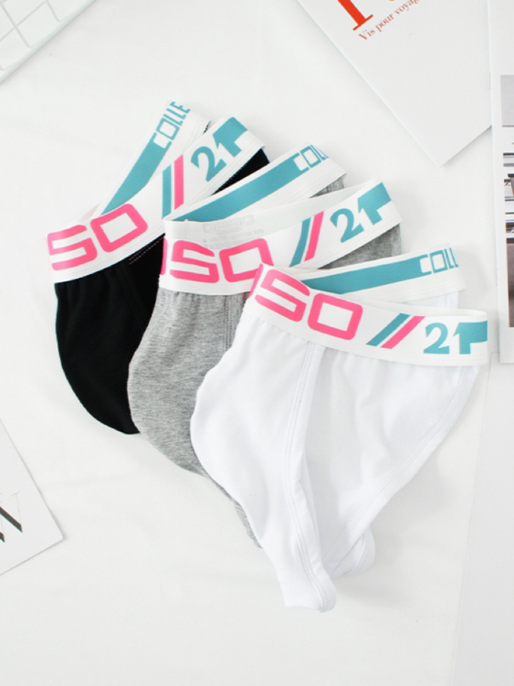 2 PCS Simple Pure Cotton Low Waist High-Cut Brief