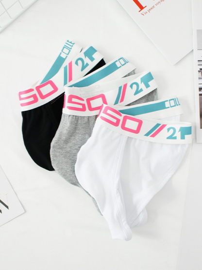 2 PCS Simple Pure Cotton Low Waist High-Cut Brief